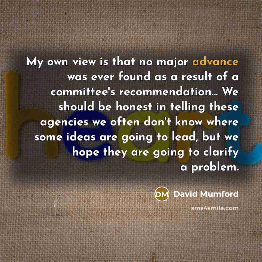 “My own view is that no major advance was ever…” quote by David Mumford
