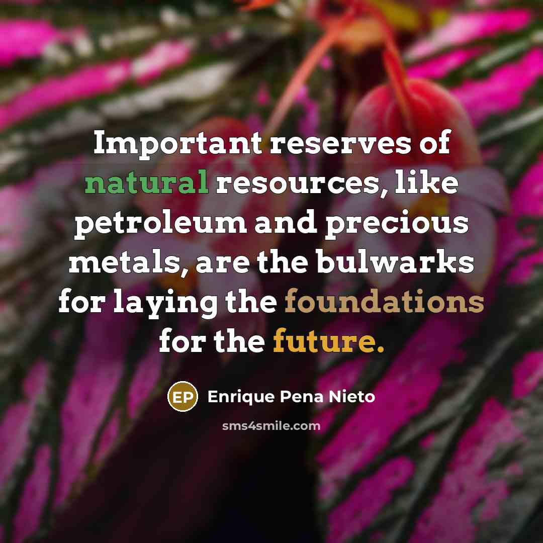“Important reserves of natural resources, like petroleum and precious metals,…” quote by Enrique Pena Nieto