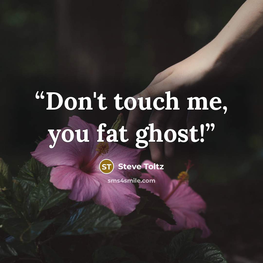 “Don't touch me, you fat ghost!” quote by Steve Toltz