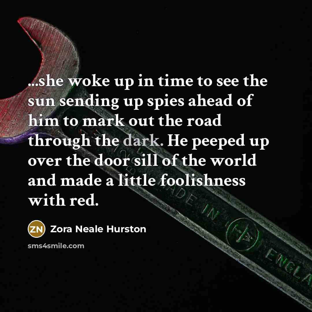 “...she woke up in time to see the sun sending…” quote by Zora Neale Hurston
