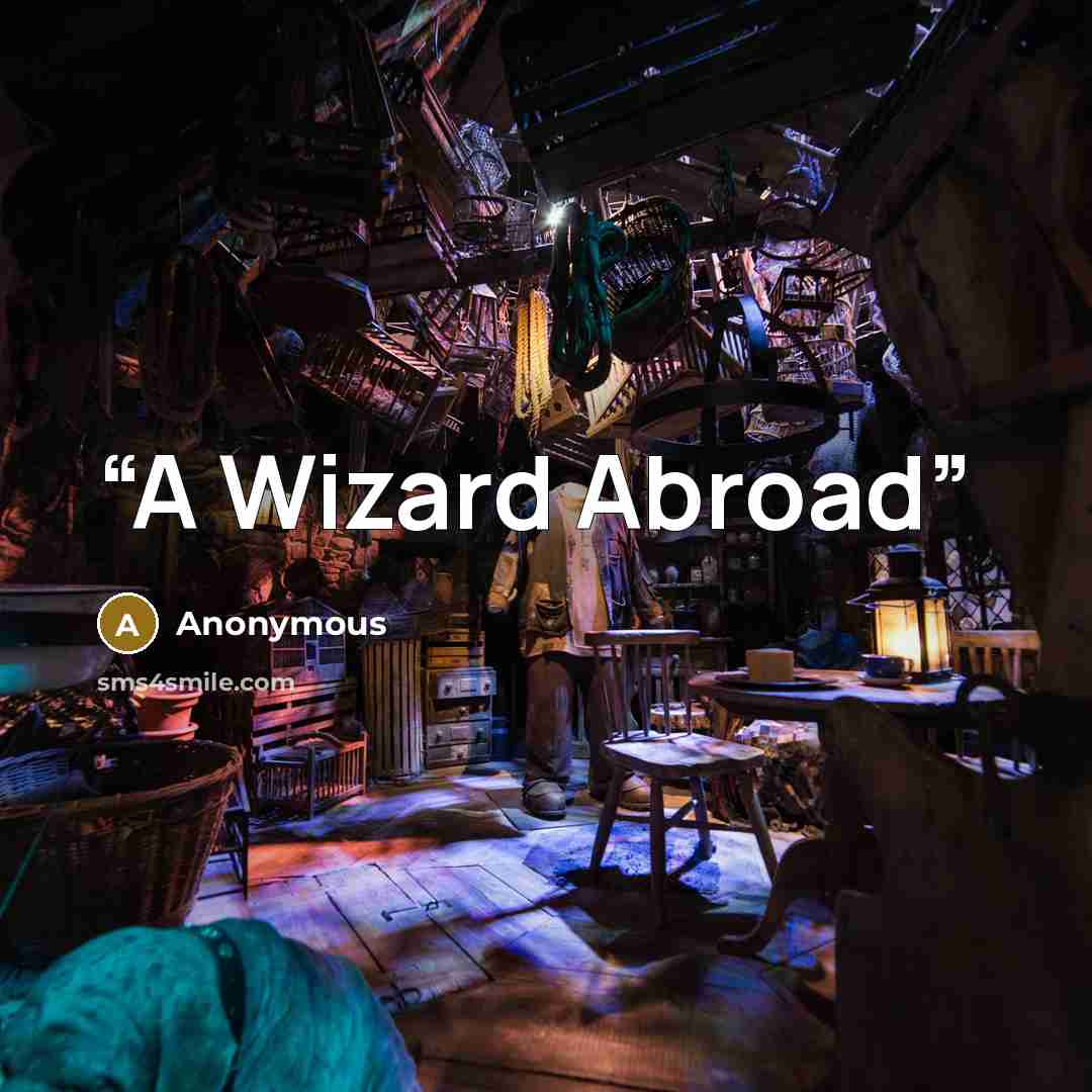 “A Wizard Abroad” quote by Anonymous