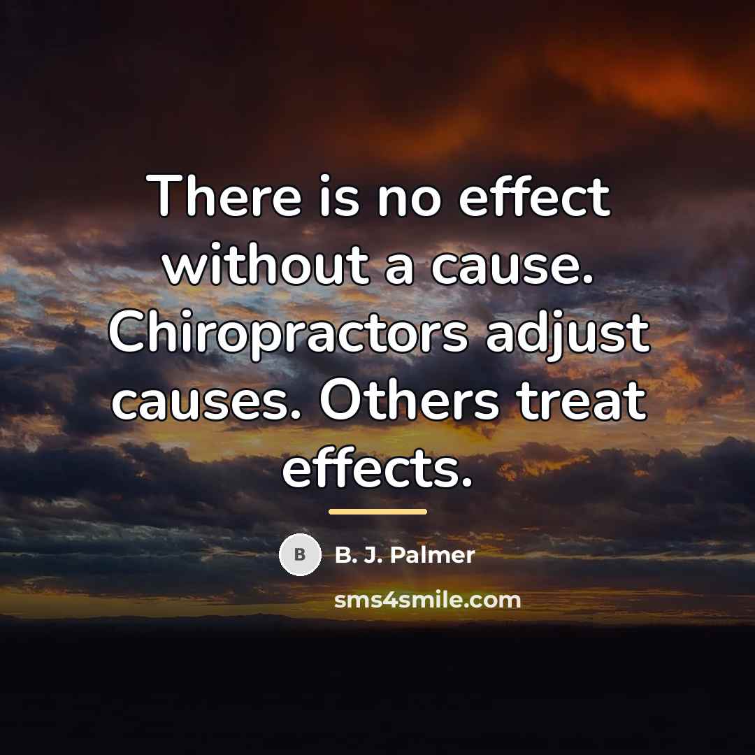 “There is no effect without a cause. Chiropractors adjust causes.…” quote by B. J. Palmer