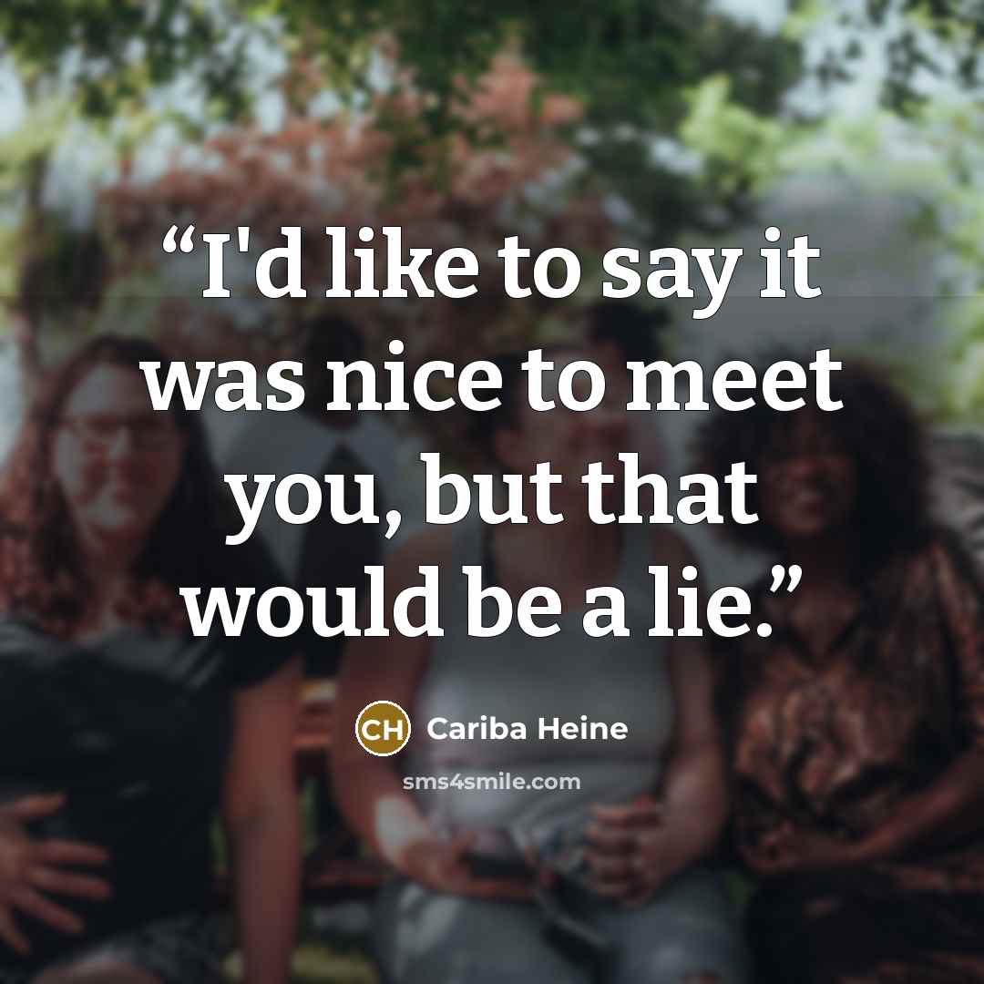 “I'd like to say it was nice to meet you, but that would be a lie.” quote by Cariba Heine