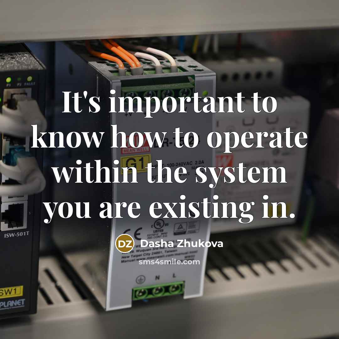 “It's important to know how to operate within the system…” quote by Dasha Zhukova