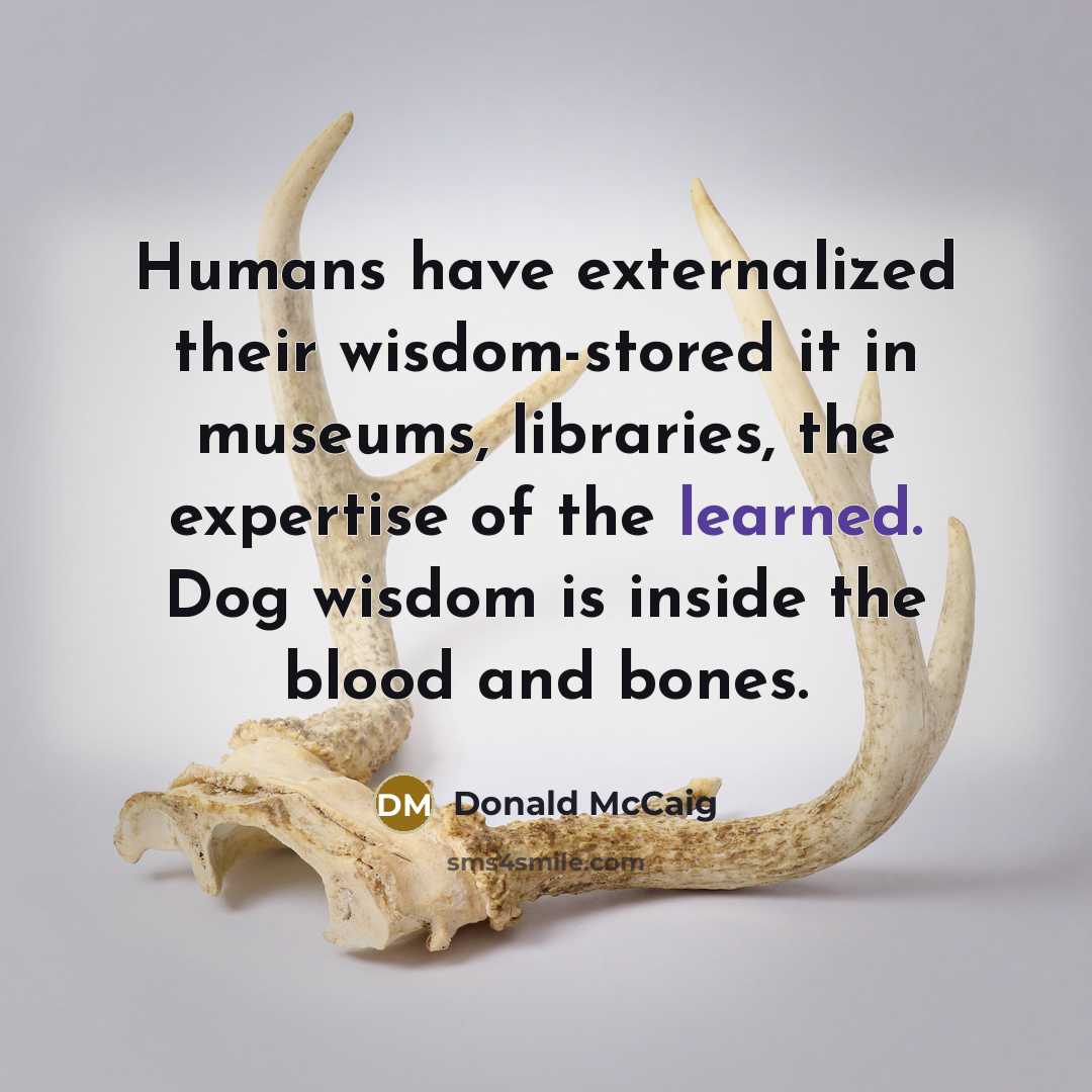 “Humans have externalized their wisdom-stored it in museums, libraries, the…” quote by Donald McCaig