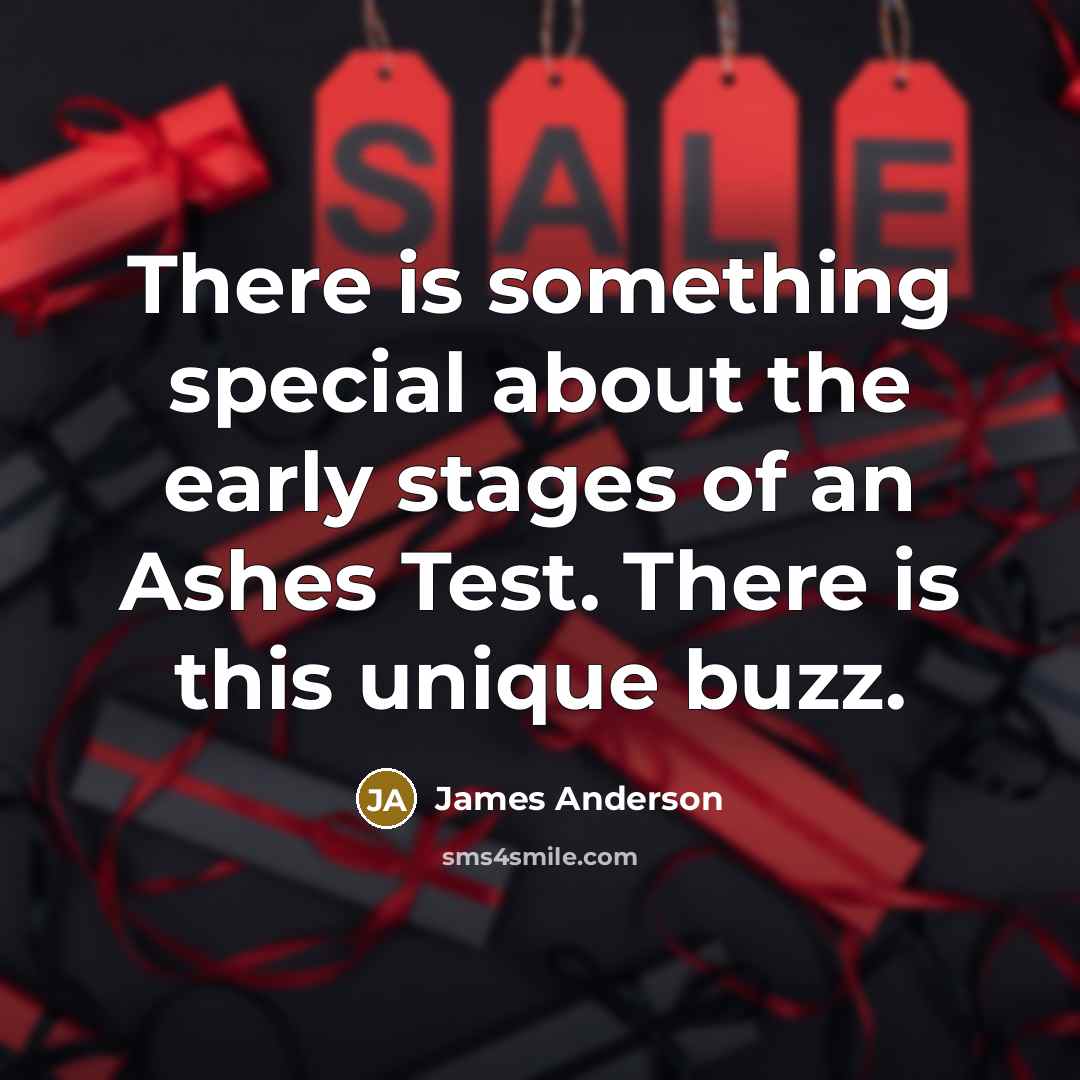 “There is something special about the early stages of an…” quote by James Anderson