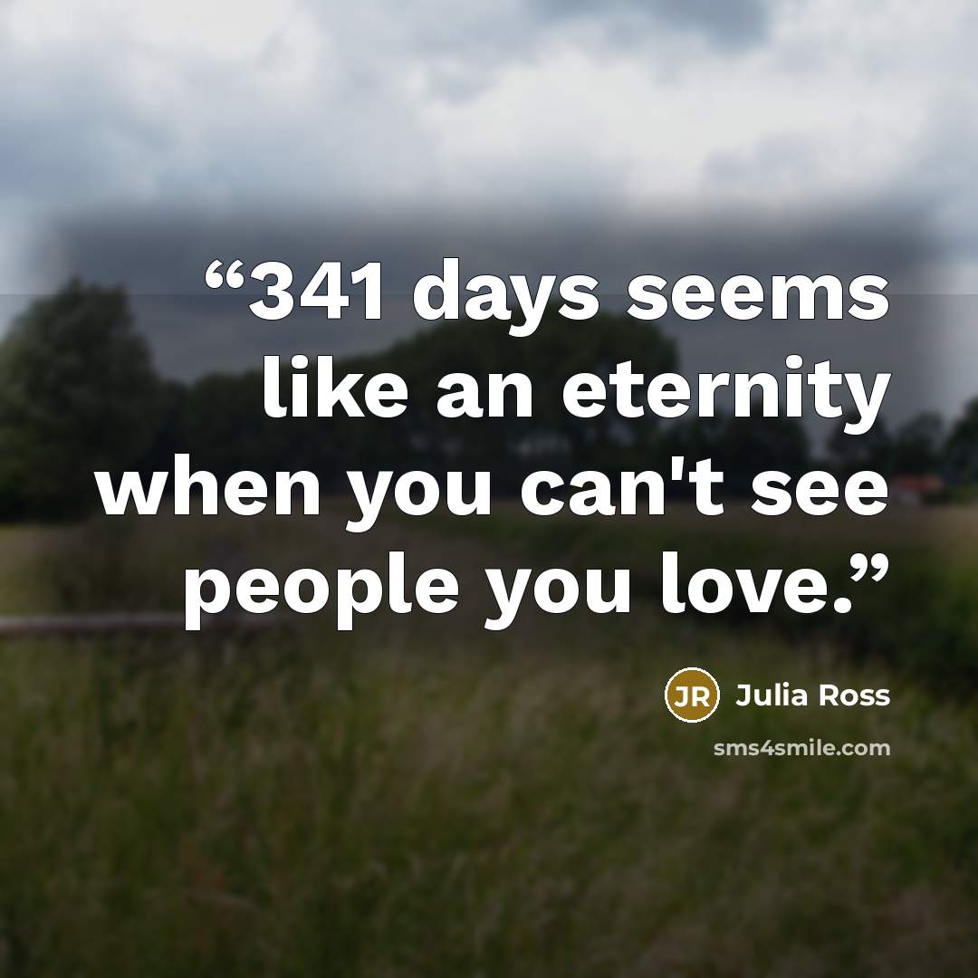 “341 days seems like an eternity when you can't see people you love.” quote by Julia Ross