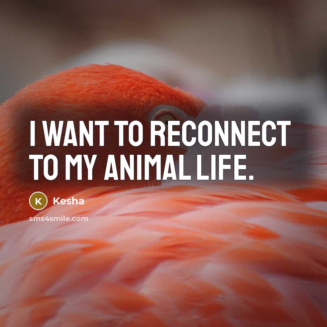 “I want to reconnect to my animal life.…” quote by Kesha
