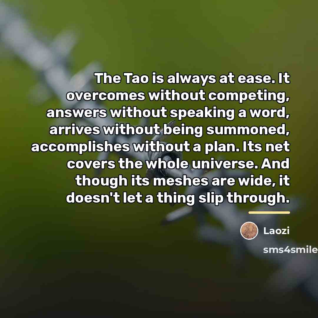 “The Tao is always at ease. It overcomes without competing,…” quote by Laozi