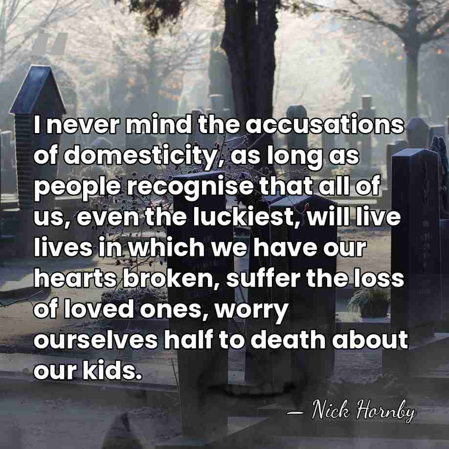 I never mind the accusations of domesticity, as long as people recognise&hellip; - Nick Hornby