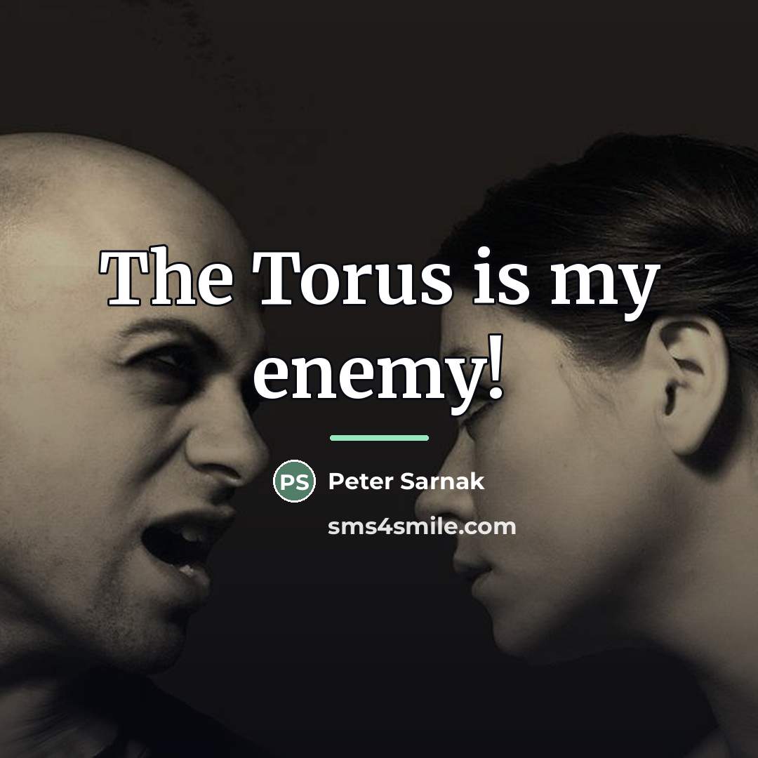 “The Torus is my enemy!…” quote by Peter Sarnak