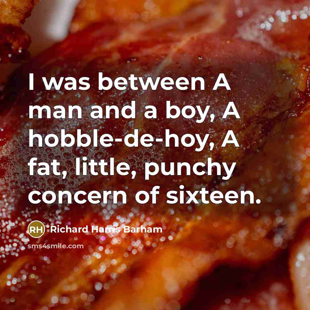 “I was between A man and a boy, A hobble-de-hoy,…” quote by Richard Harris Barham