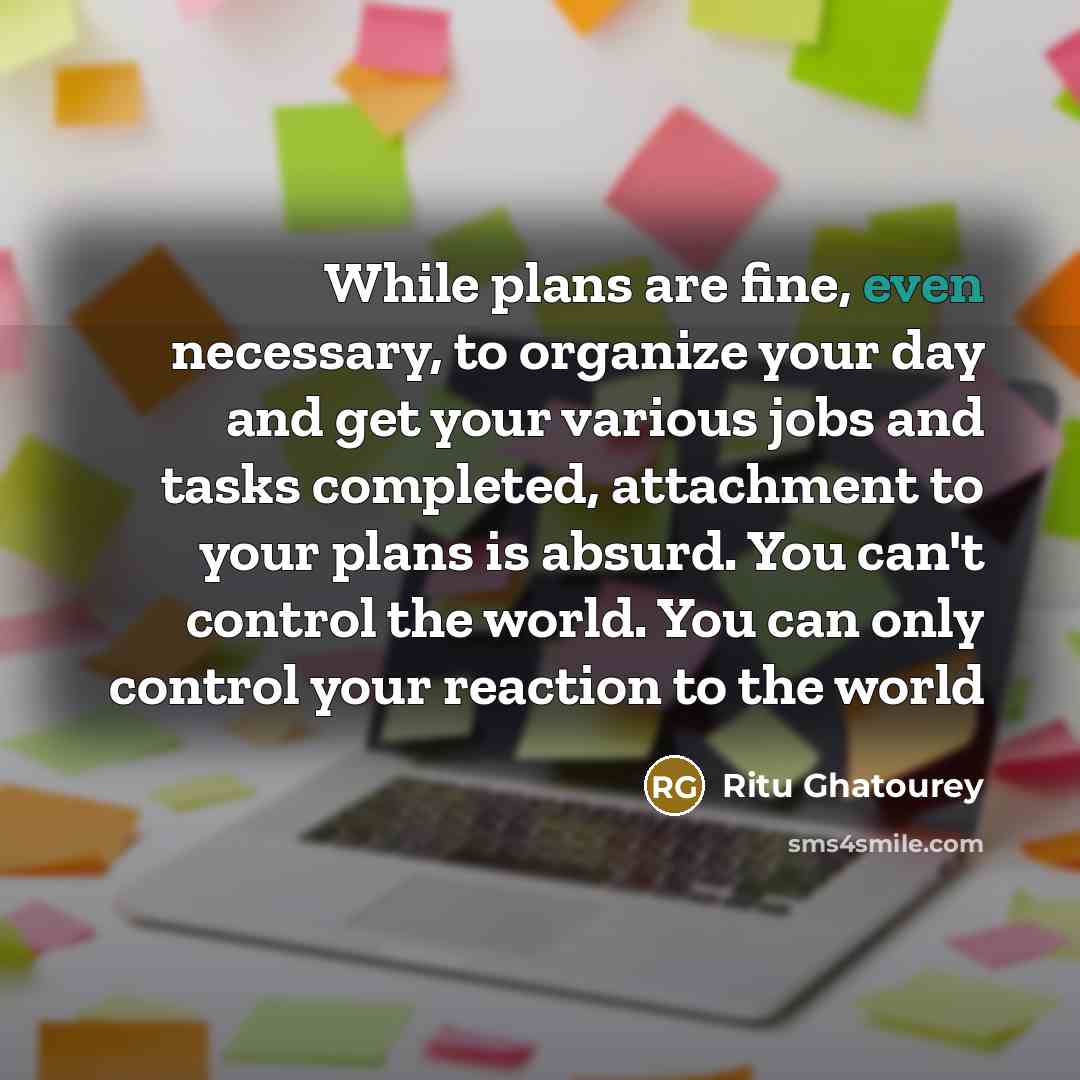“While plans are fine, even necessary, to organize your day and get your various jobs and tasks completed, attachment to your plans is absurd. You can't control the world. You can only control your reaction to the world” quote by Ritu Ghatourey