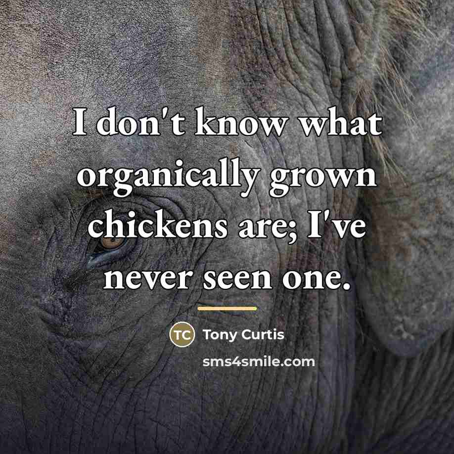“I don't know what organically grown chickens are; I've never…” quote by Tony Curtis
