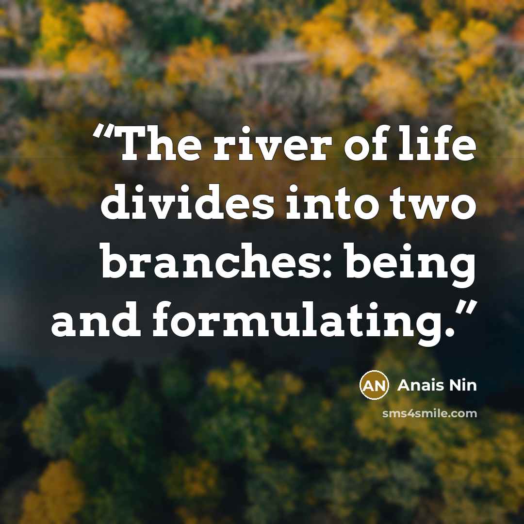 “The river of life divides into two branches: being and formulating.” quote by Anaïs Nin