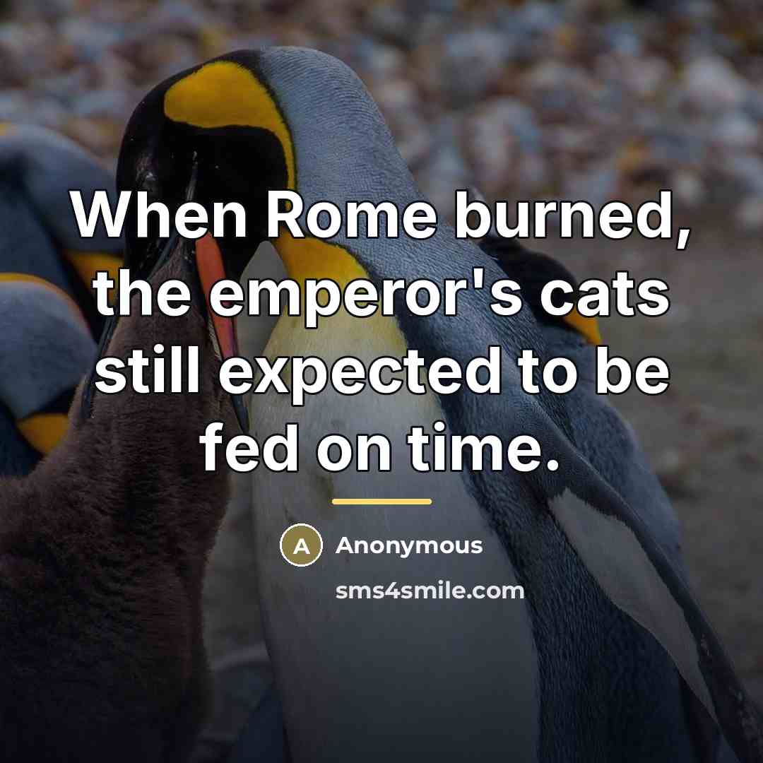 “When Rome burned, the emperor's cats still expected to be…” quote by Anonymous