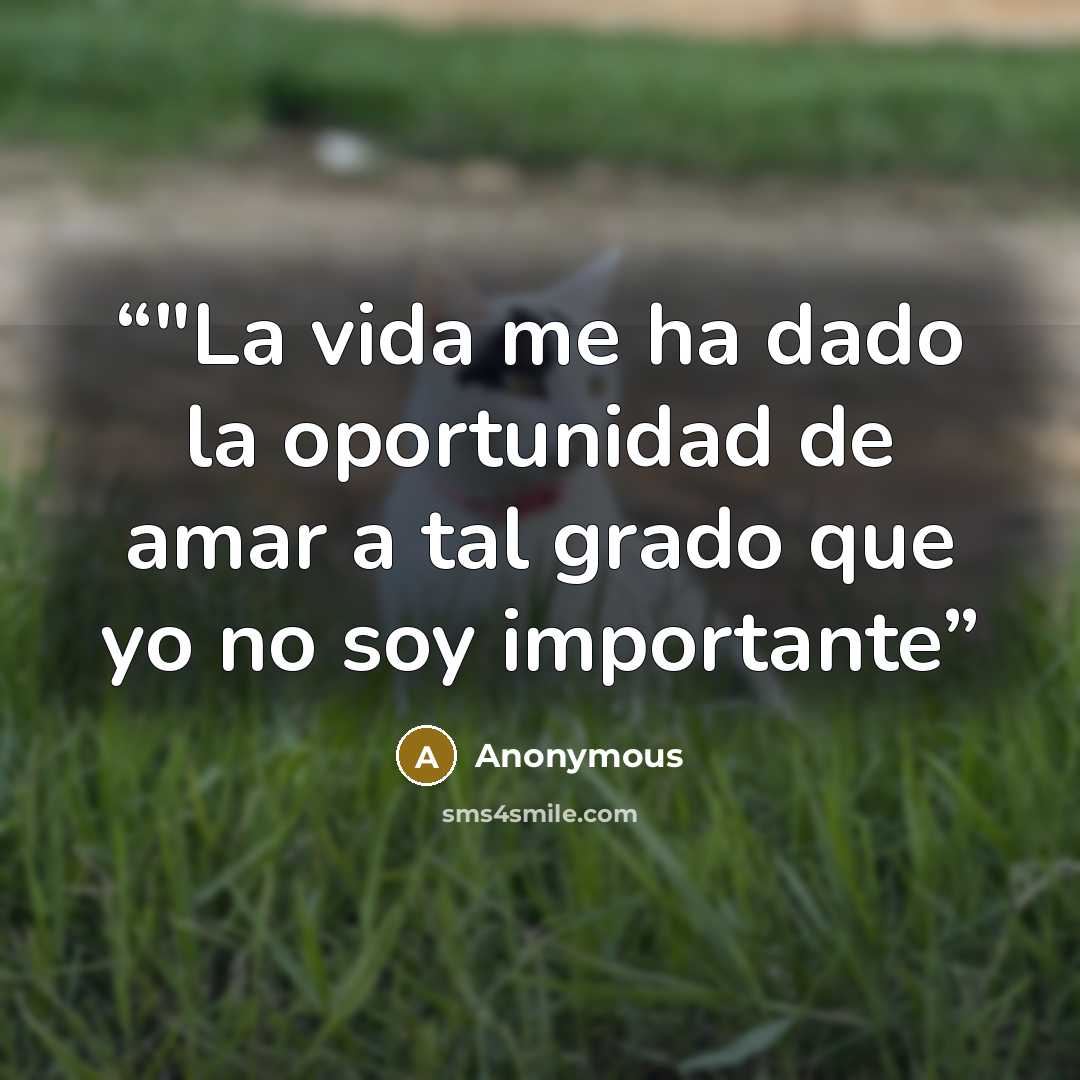 “‎"La vida me ha dado la oportunidad de amar a tal grado que yo no soy importante” quote by Anonymous