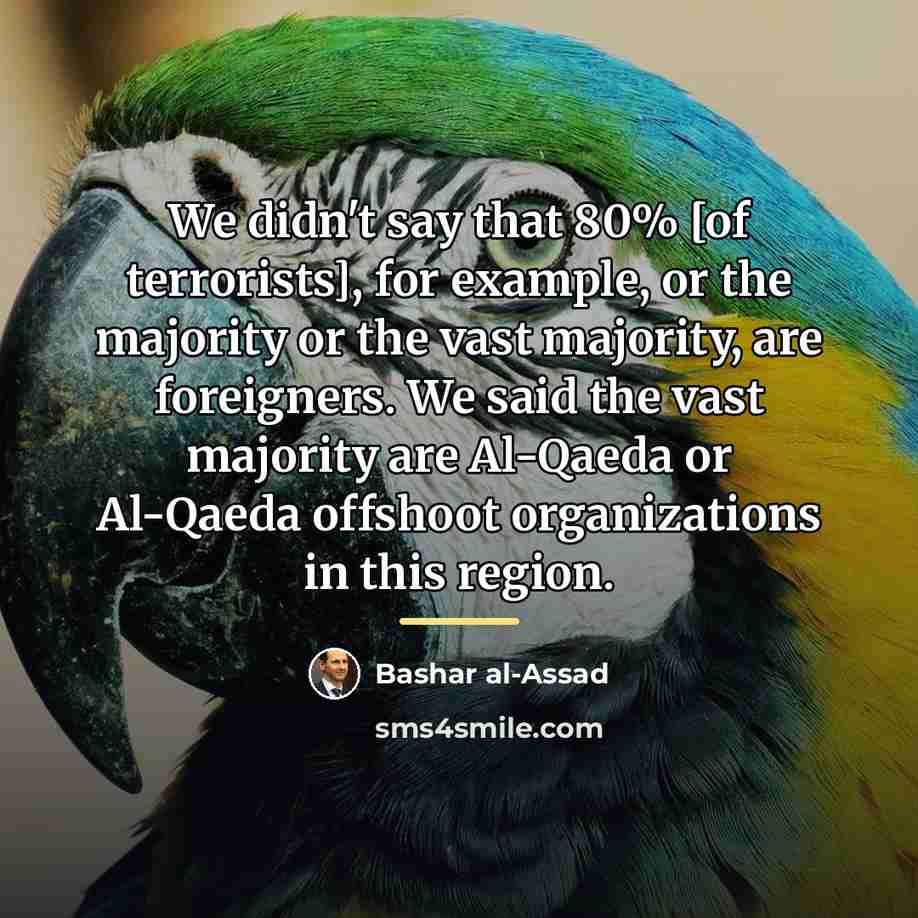 “We didn't say that 80% [of terrorists], for example, or…” quote by Bashar al-Assad