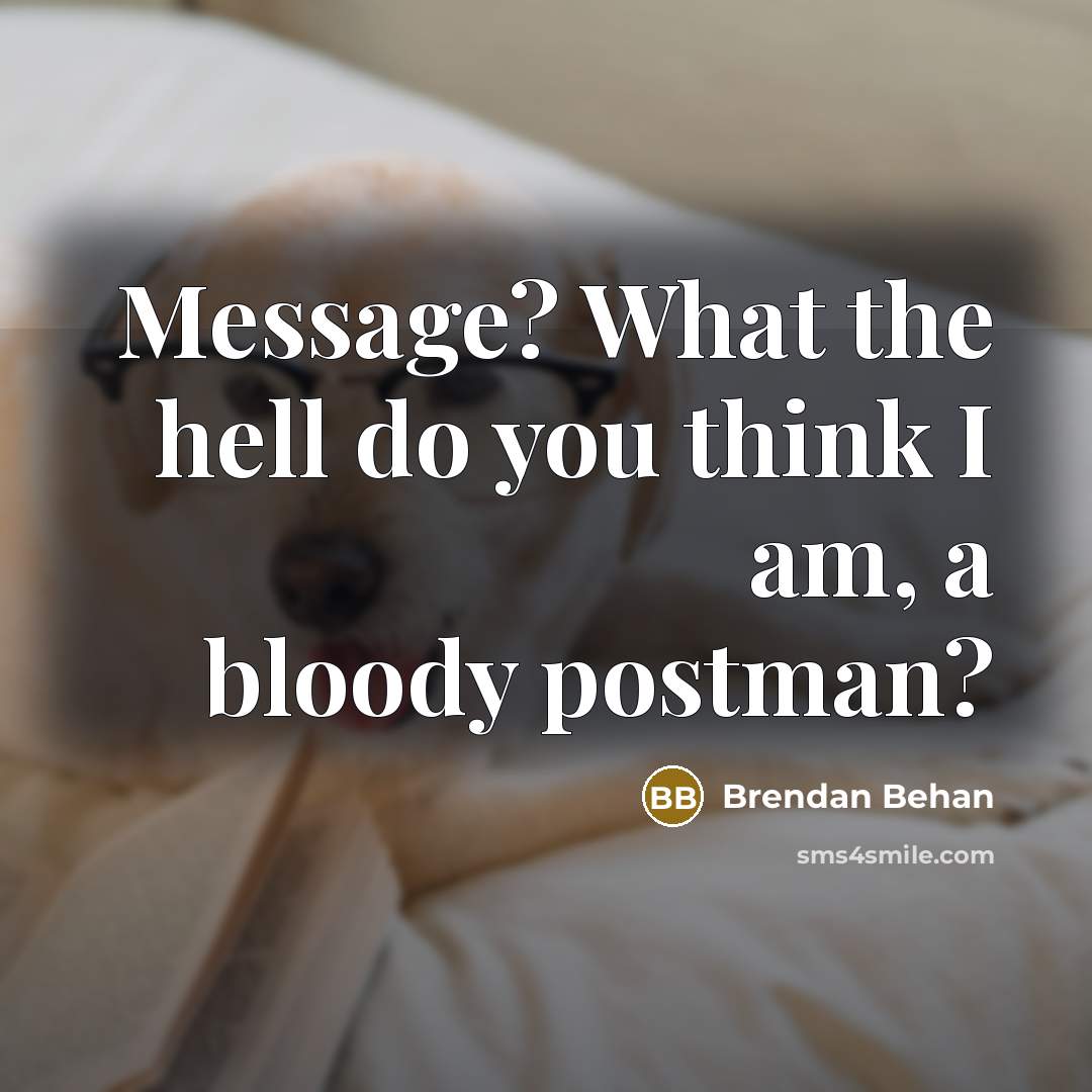“Message? What the hell do you think I am, a…” quote by Brendan Behan