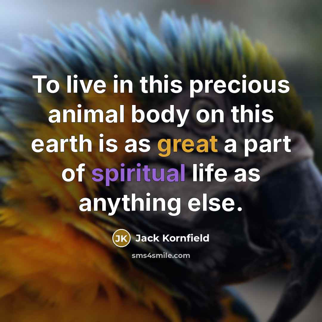 “To live in this precious animal body on this earth…” quote by Jack Kornfield