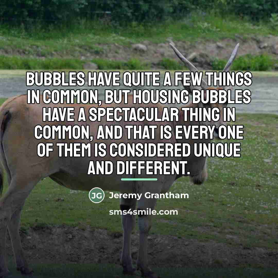 “Bubbles have quite a few things in common, but housing…” quote by Jeremy Grantham