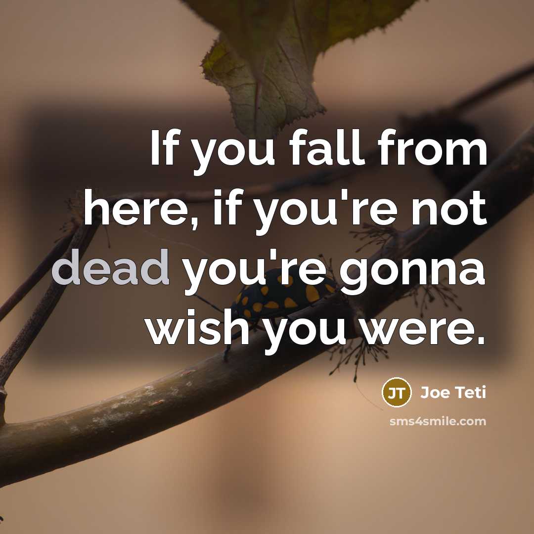 “If you fall from here, if you're not dead you're…” quote by Joe Teti