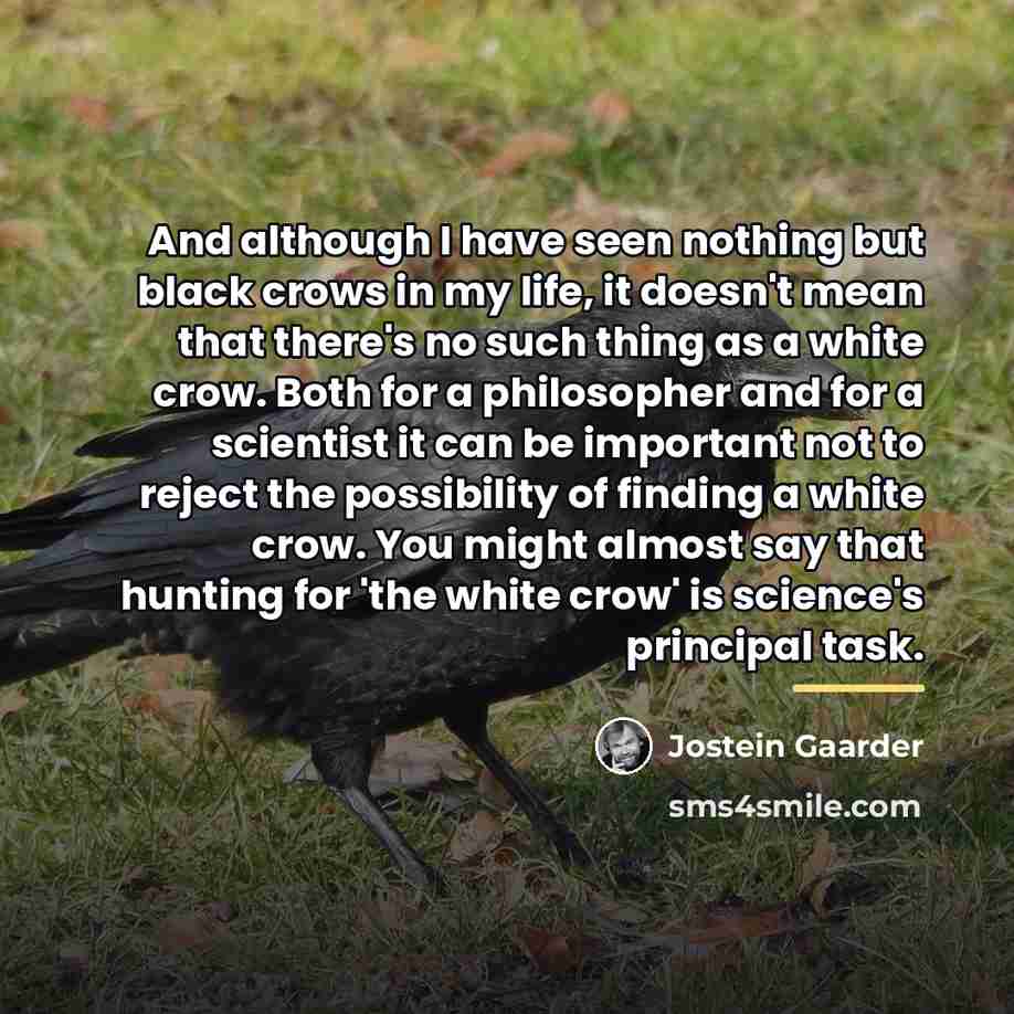 “And although I have seen nothing but black crows in…” quote by Jostein Gaarder