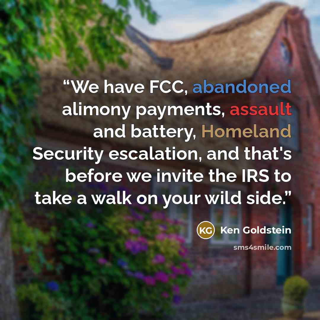 “We have FCC, abandoned alimony payments, assault and battery, Homeland Security escalation, and that's before we invite the IRS to take a walk on your wild side.” quote by Ken Goldstein