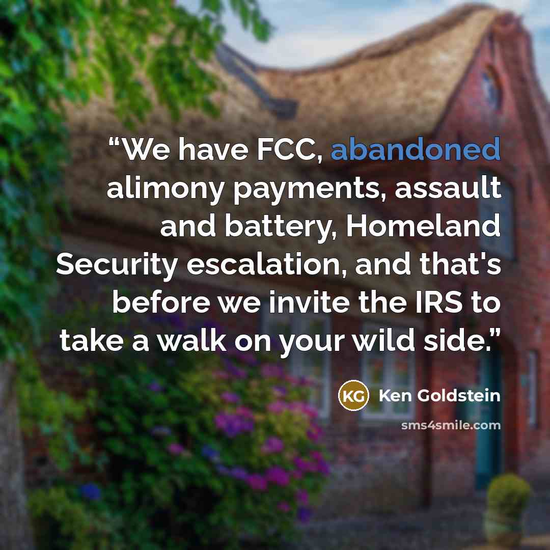 “We have FCC, abandoned alimony payments, assault and battery, Homeland Security escalation, and that's before we invite the IRS to take a walk on your wild side.” quote by Ken Goldstein
