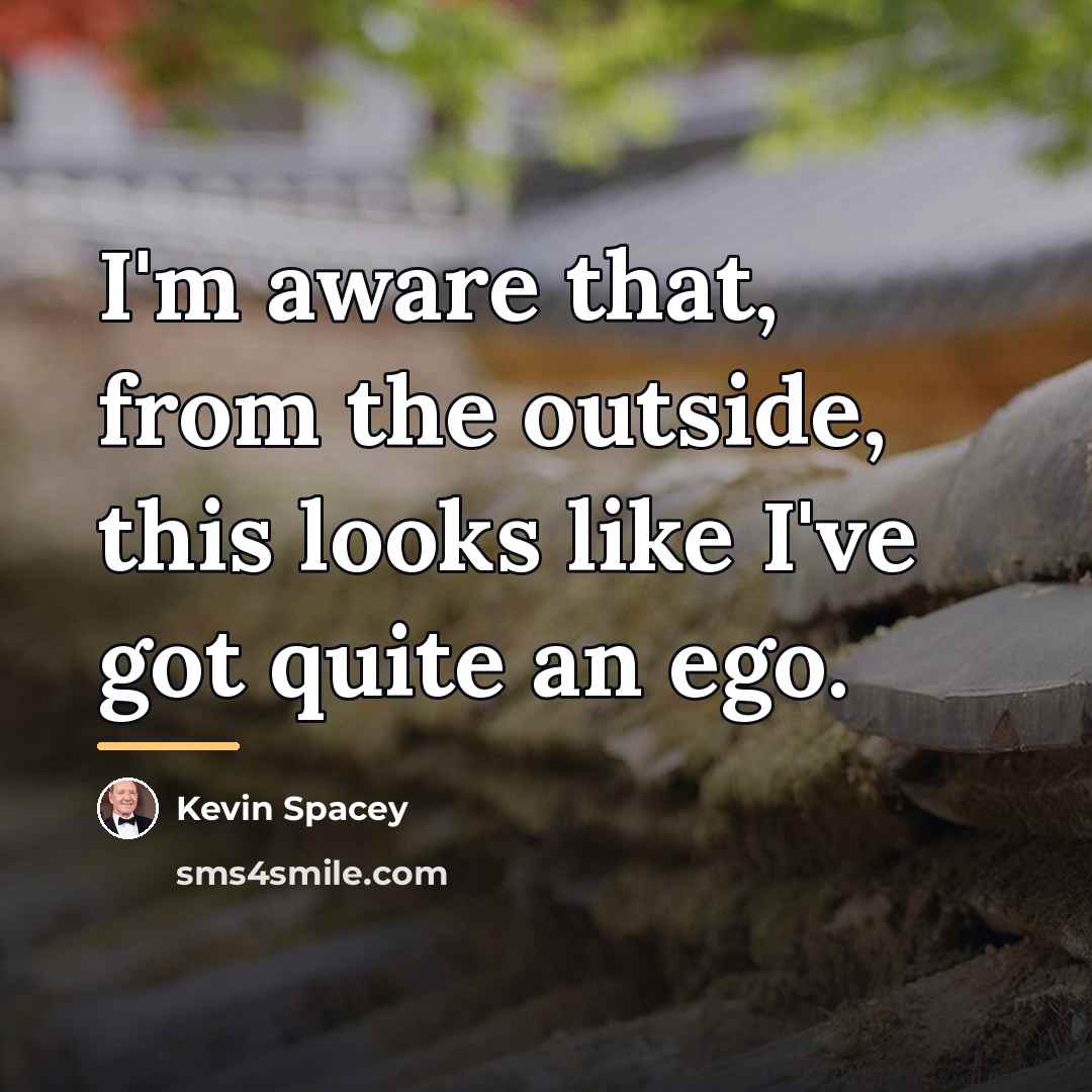 “I'm aware that, from the outside, this looks like I've…” quote by Kevin Spacey