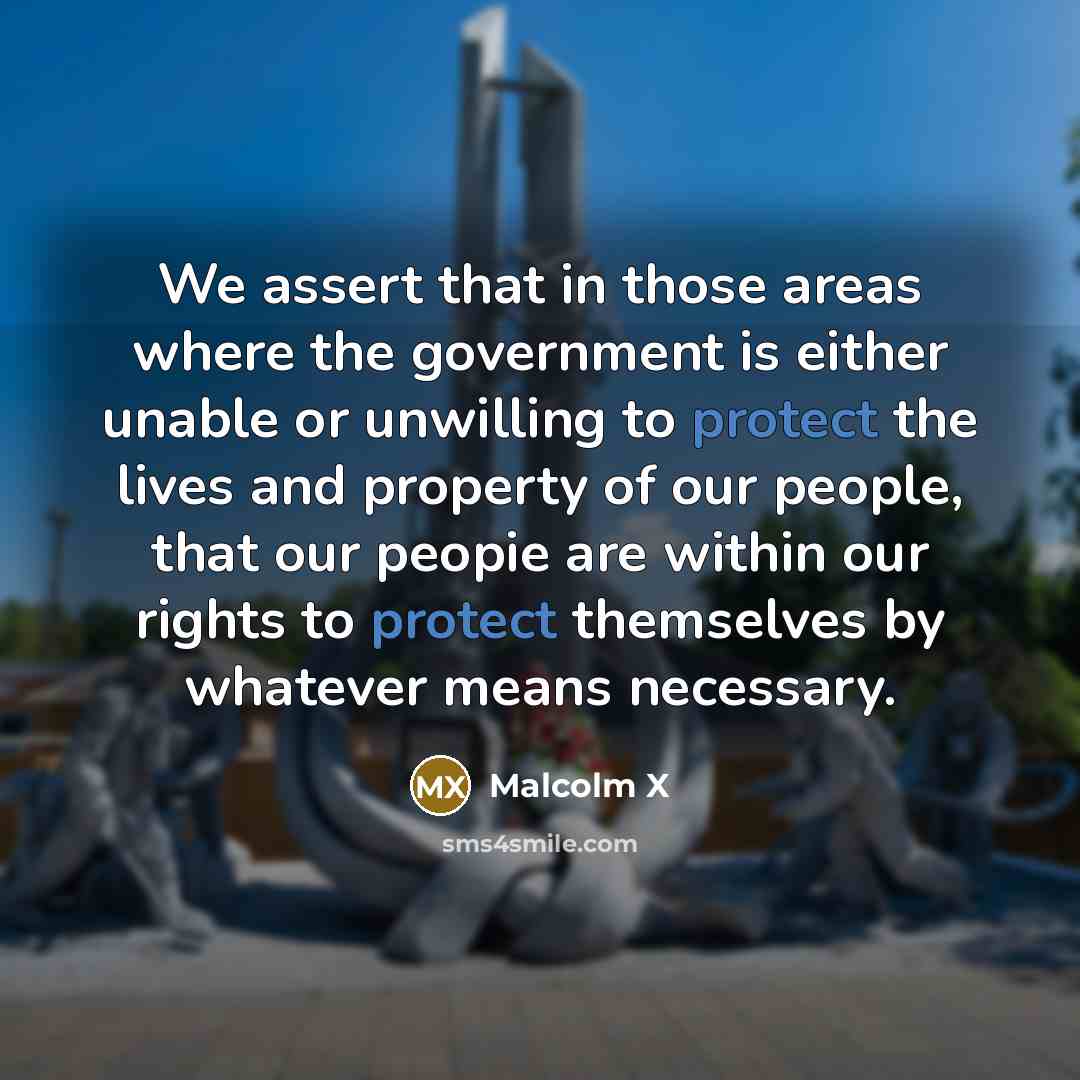 “We assert that in those areas where the government is…” quote by Malcolm X