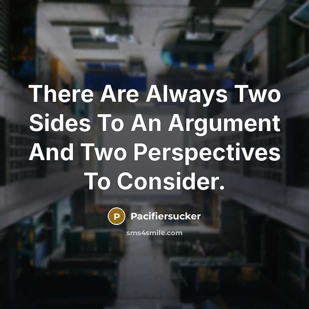 “There Are Always Two Sides To An Argument And Two Perspectives To Consider.” quote by Pacifiersucker