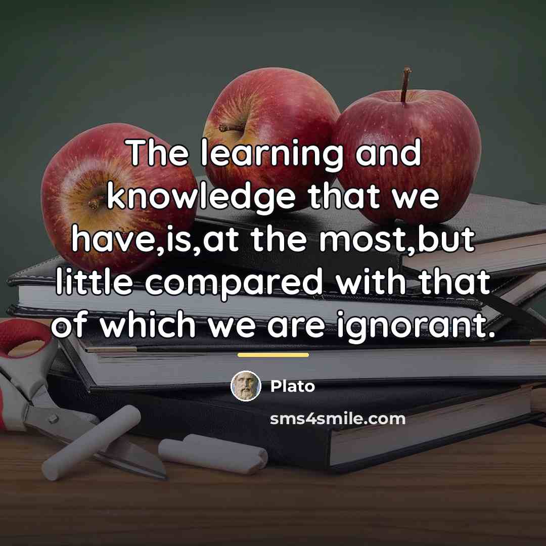 “The learning and knowledge that we have,is,at the most,but little…” quote by Plato