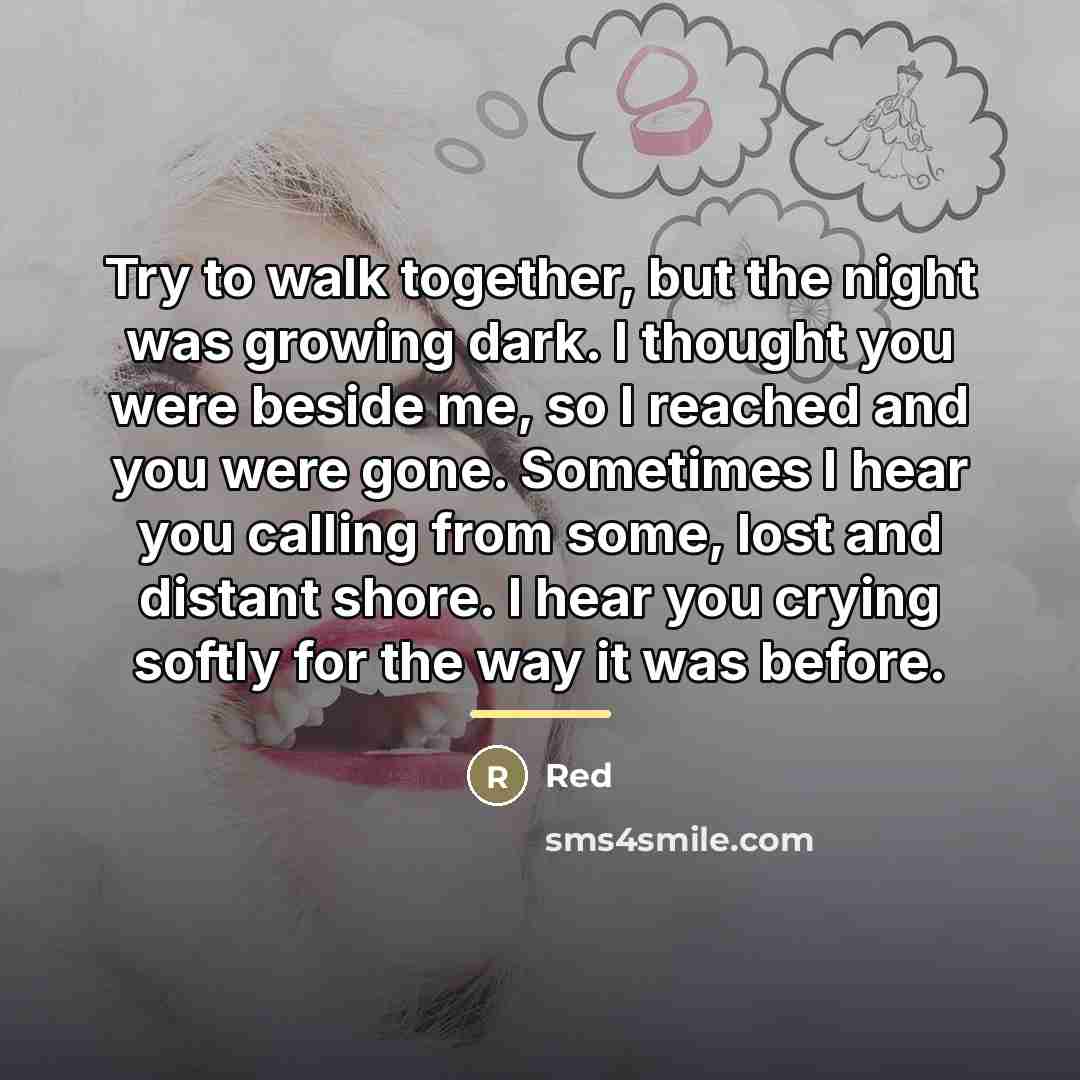 “Try to walk together, but the night was growing dark.…” quote by Red