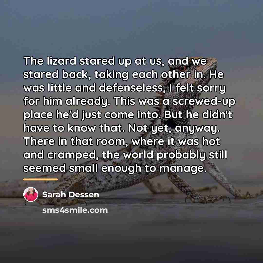 “The lizard stared up at us, and we stared back,…” quote by Sarah Dessen