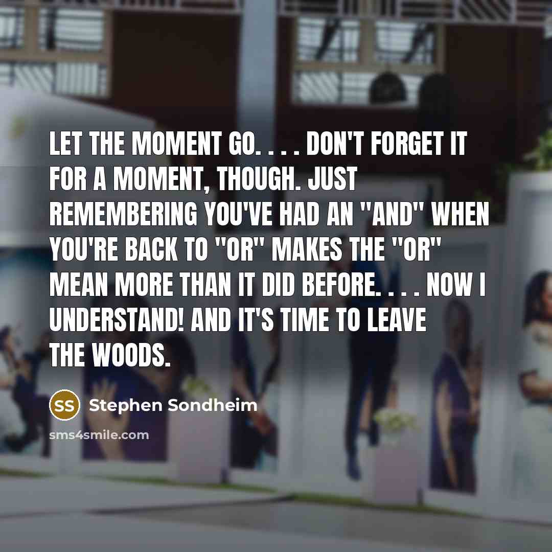 “Let the moment go. . . . Don't forget it…” quote by Stephen Sondheim