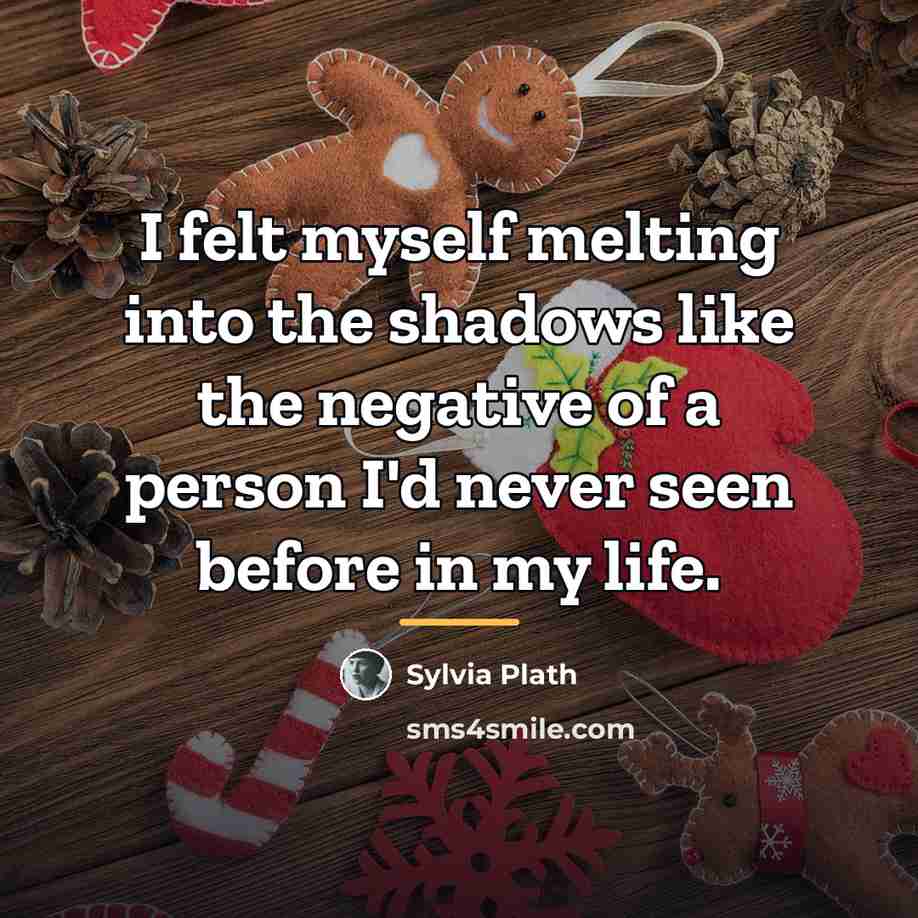 “I felt myself melting into the shadows like the negative…” quote by Sylvia Plath