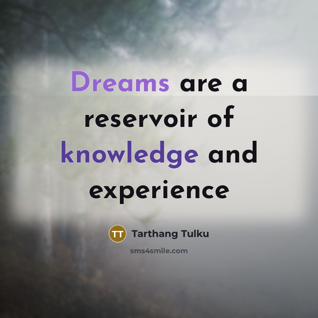“Dreams are a reservoir of knowledge and experience…” quote by Tarthang Tulku
