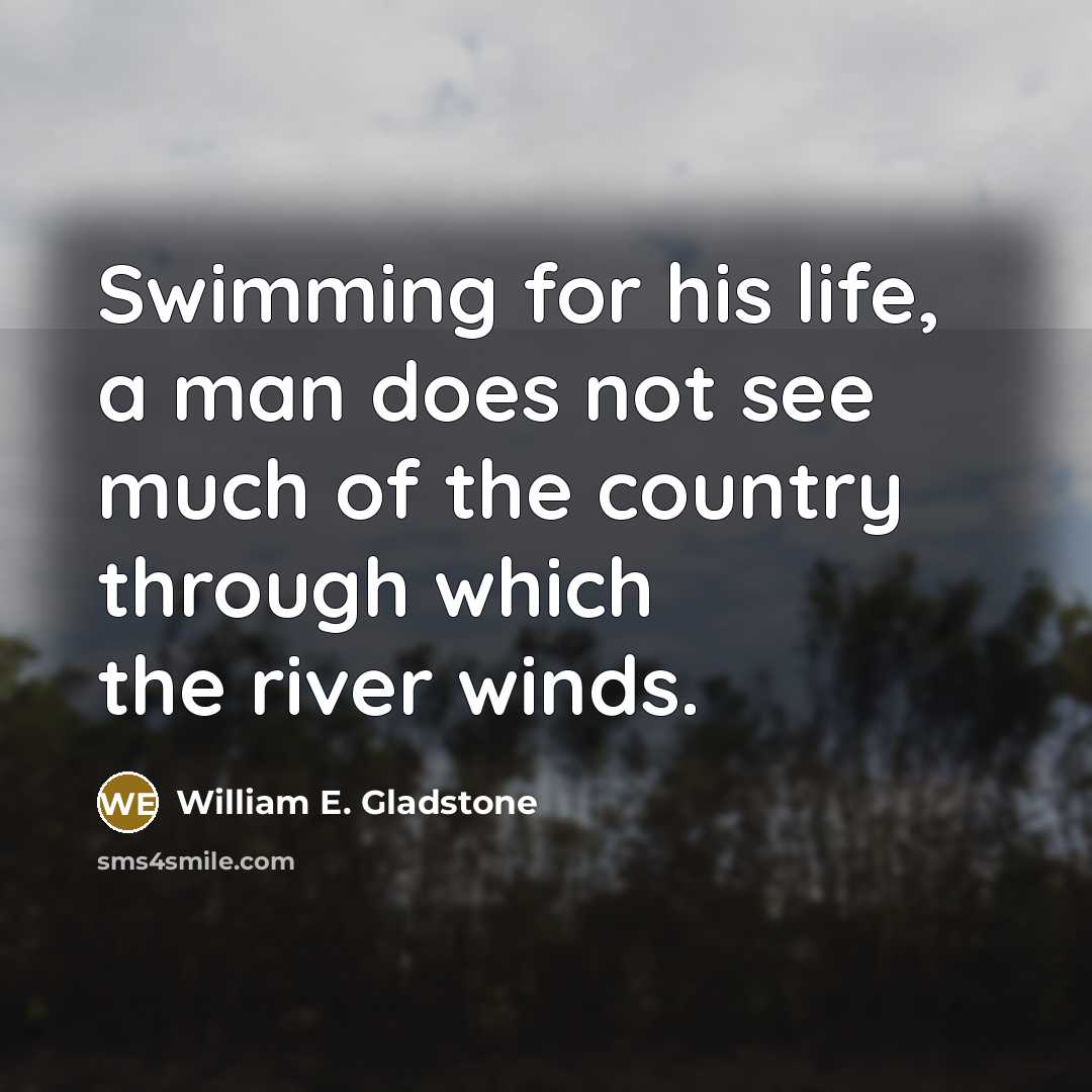 “Swimming for his life, a man does not see much…” quote by William E. Gladstone