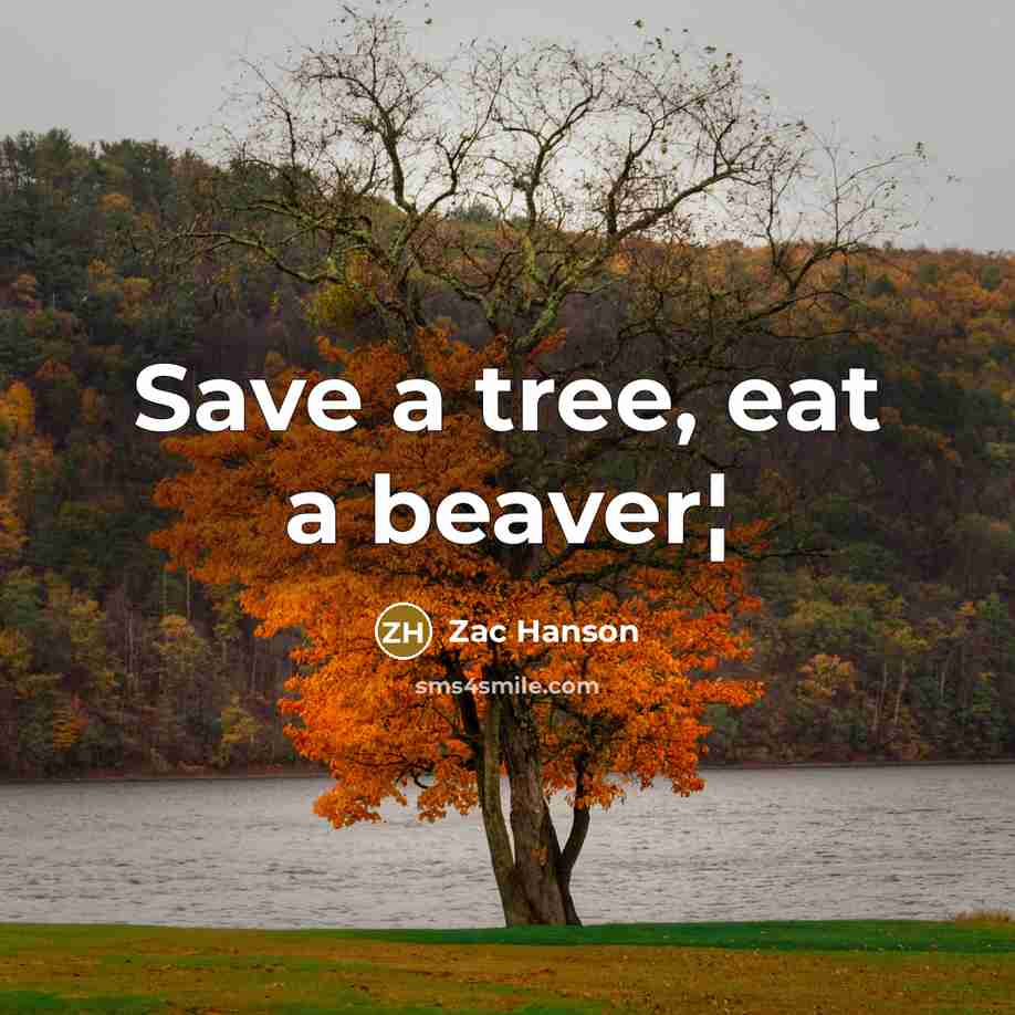 “Save a tree, eat a beaver¦” quote by Zac Hanson