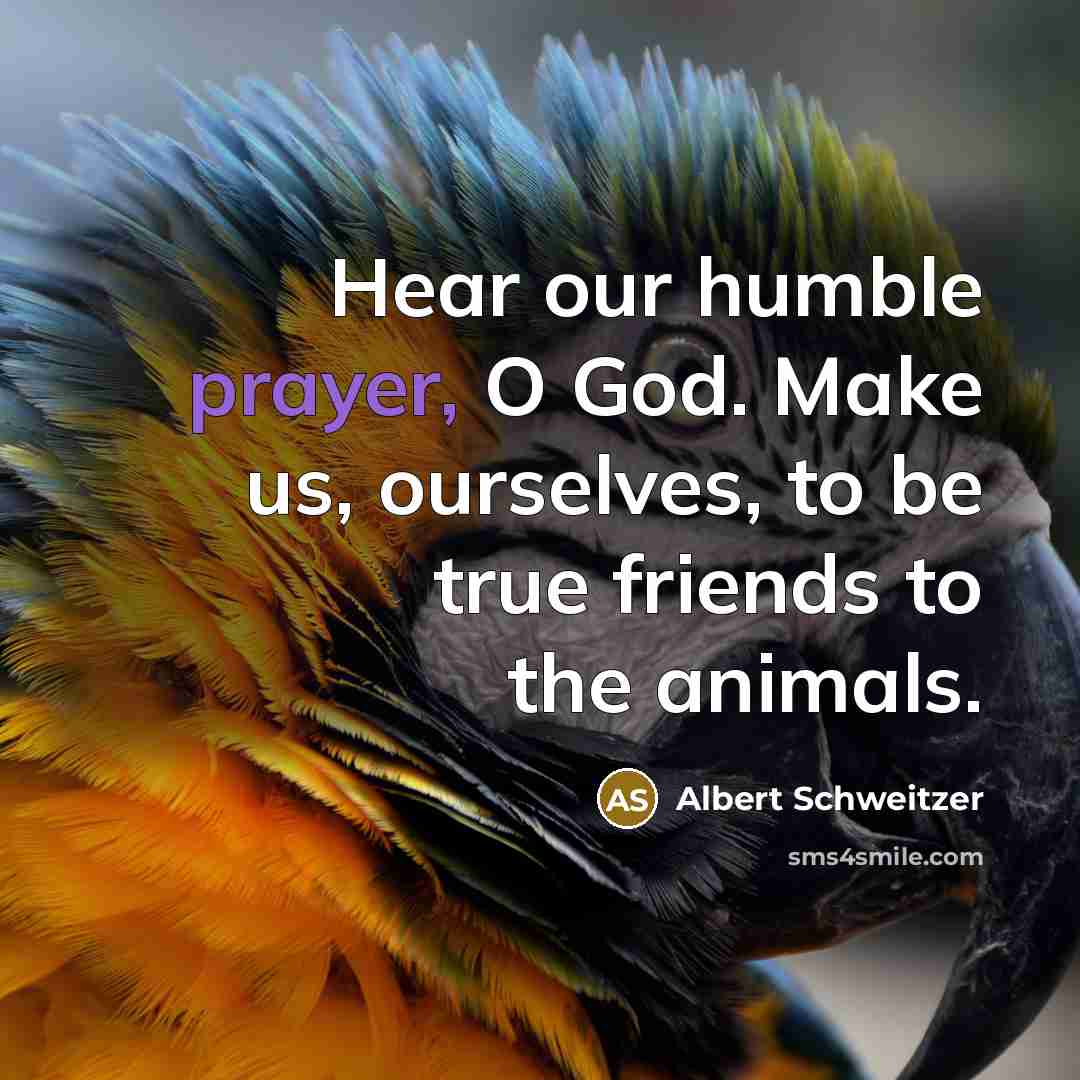 “Hear our humble prayer, O God. Make us, ourselves, to…” quote by Albert Schweitzer