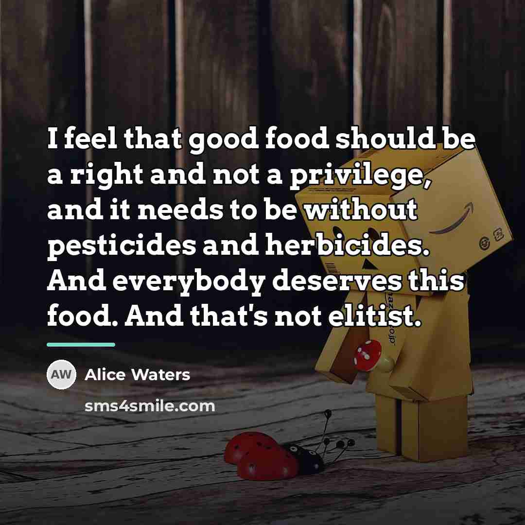 “I feel that good food should be a right and…” quote by Alice Waters