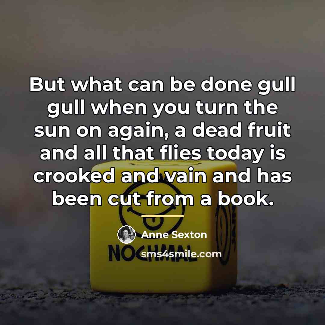 “But what can be done gull gull when you turn…” quote by Anne Sexton