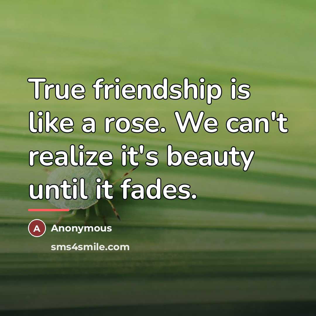 “True friendship is like a rose. We can't realize it's…” quote by Anonymous