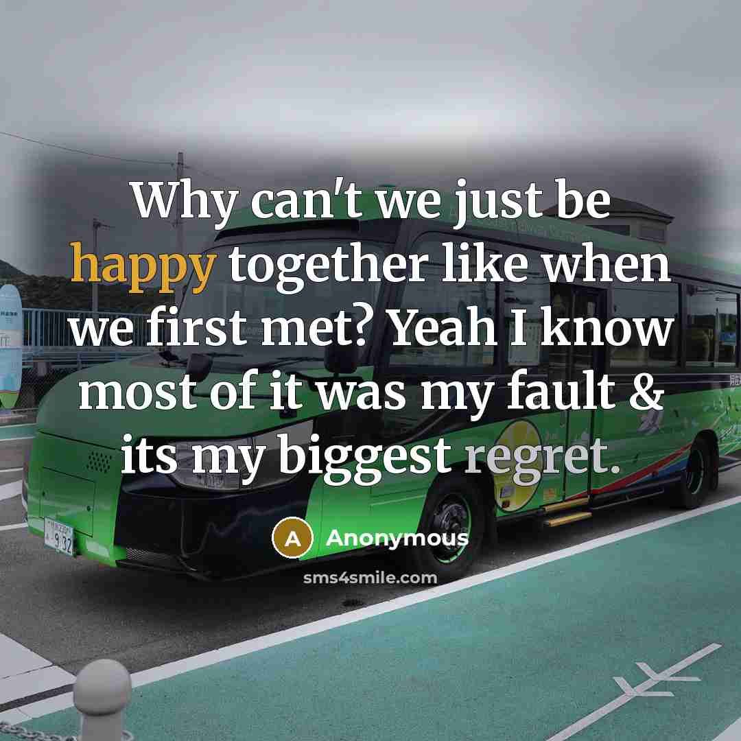 “Why can't we just be happy together like when we first met? Yeah I know most of it was my fault & its my biggest regret.” quote by Anonymous