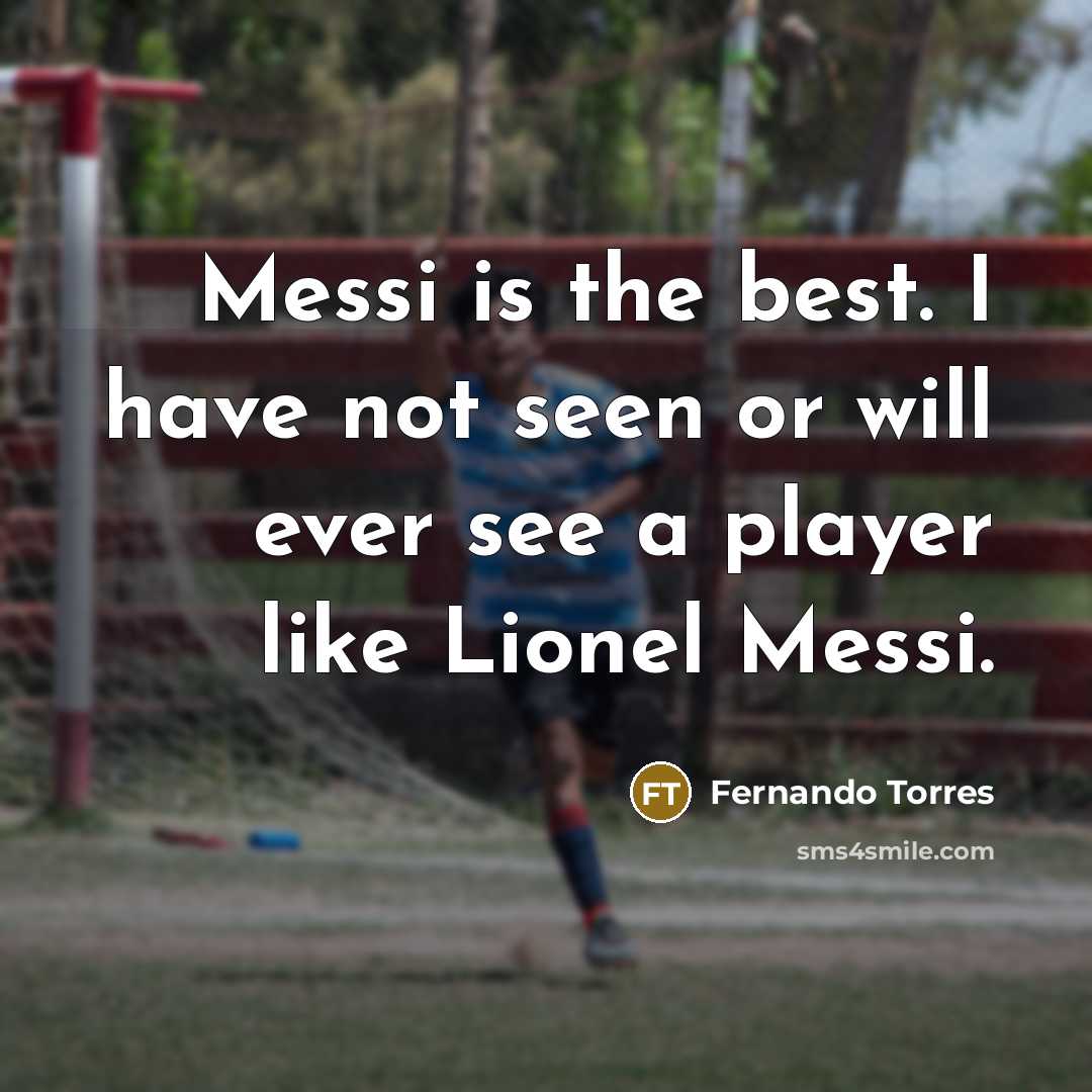 “Messi is the best. I have not seen or will…” quote by Fernando Torres