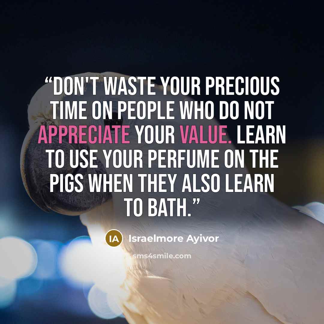 “Don't waste your precious time on people who do not appreciate your value. Learn to use your perfume on the pigs when they also learn to bath.” quote by Israelmore Ayivor