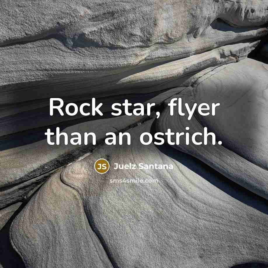 “Rock star, flyer than an ostrich.…” quote by Juelz Santana
