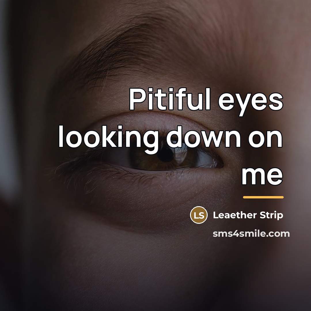 “Pitiful eyes looking down on me…” quote by Leaether Strip