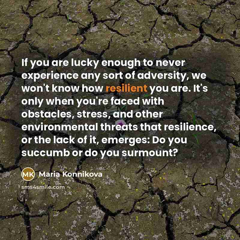 “If you are lucky enough to never experience any sort…” quote by Maria Konnikova